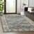 Beige/Gris
