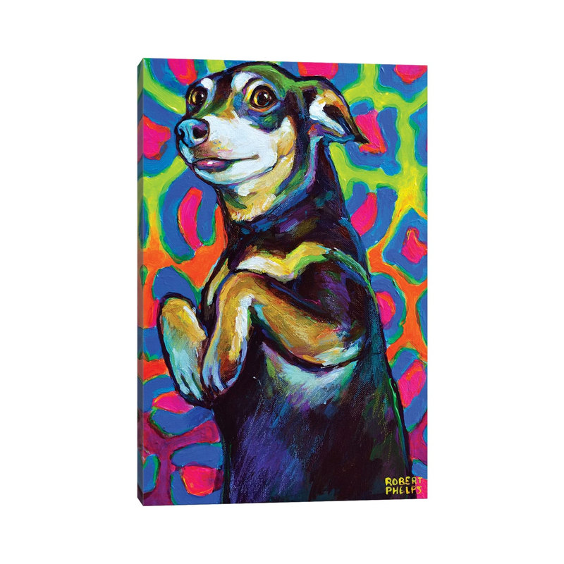 Punk Rock Dachshund by Robert Phelps - Wrapped Canvas Print, 66.04 cm H x 45.72 cm W x 1.91 cm D