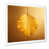 White Single Picture Framed