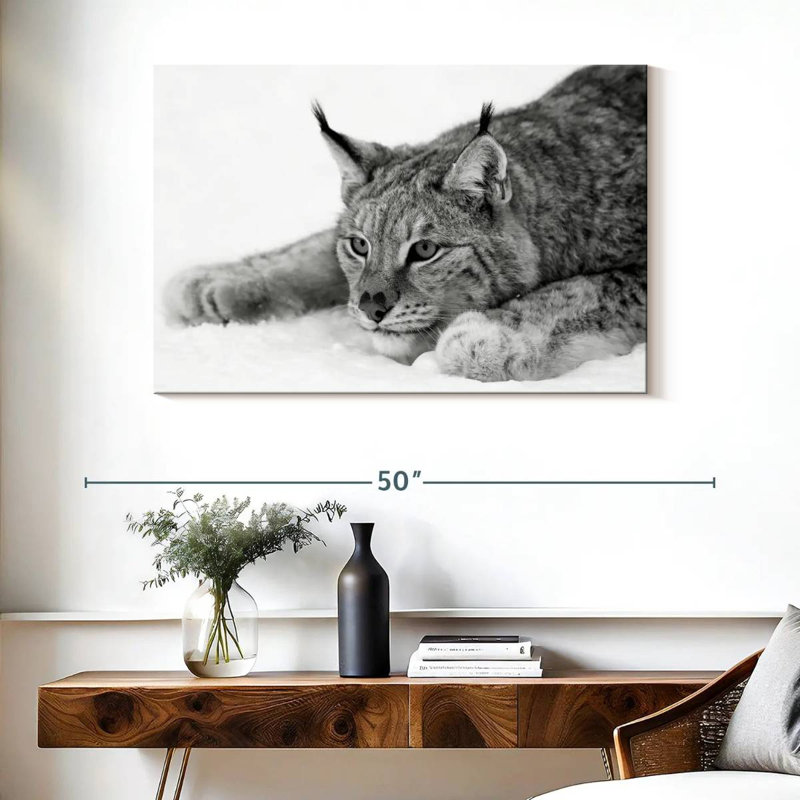 Brampt Lynx BW, 26" H x 39" W