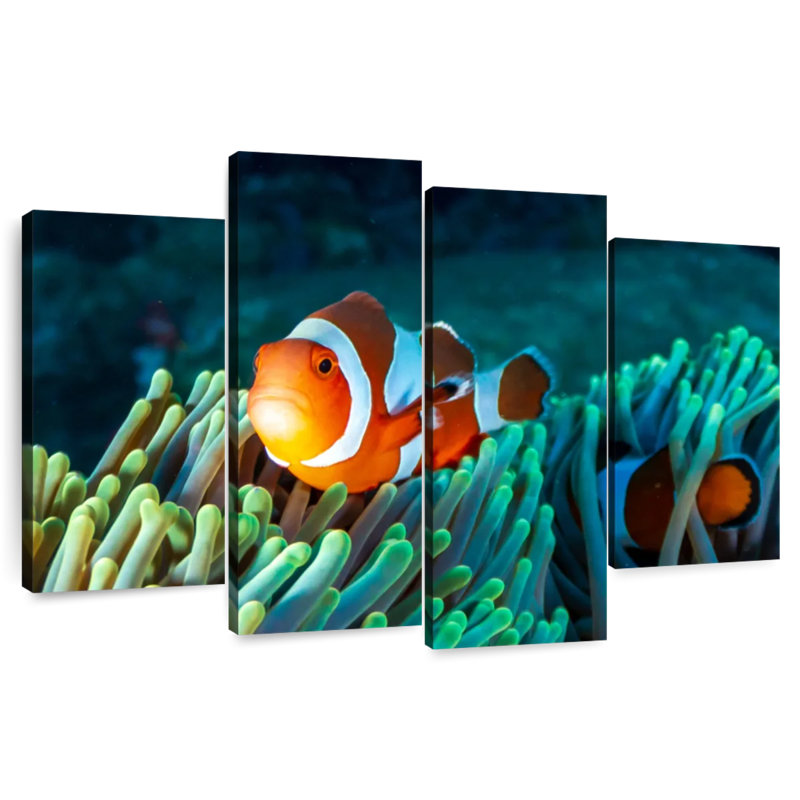 Brampt Frowning Clownfish, 48" H x 75" W