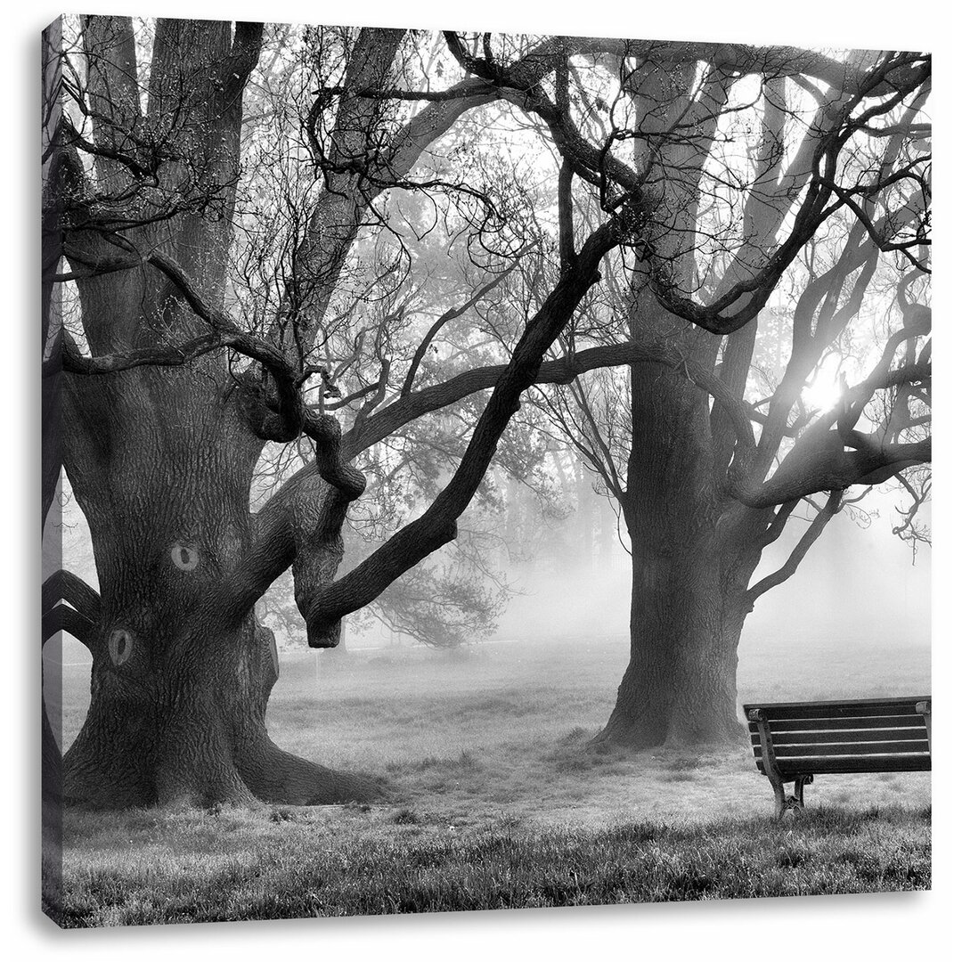 Leinwandbild Baum und Bank im Nebel