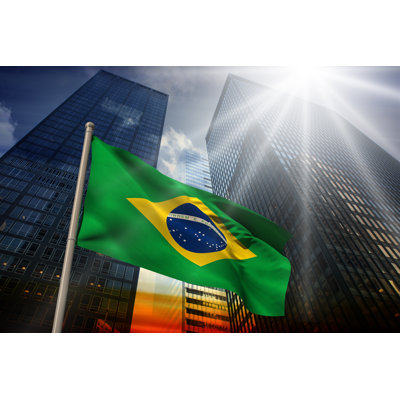 Shavia " Brazil Flag "