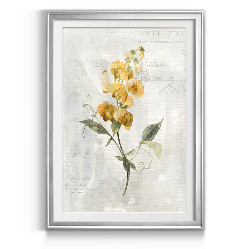 Canari Lin Sweet Pea - Reproduction d'art sur papier encadrée, H 18,5 po x l 24,5 po x P 1,5 po, Argent