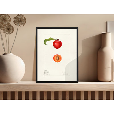 Sonette Floater Frame Print