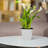 Lilabai Pot Planter-1729276105-1729276098