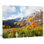 «Mountain Meadow with Yellow Flowers», reproduction de photo sur toile tendue-19407309