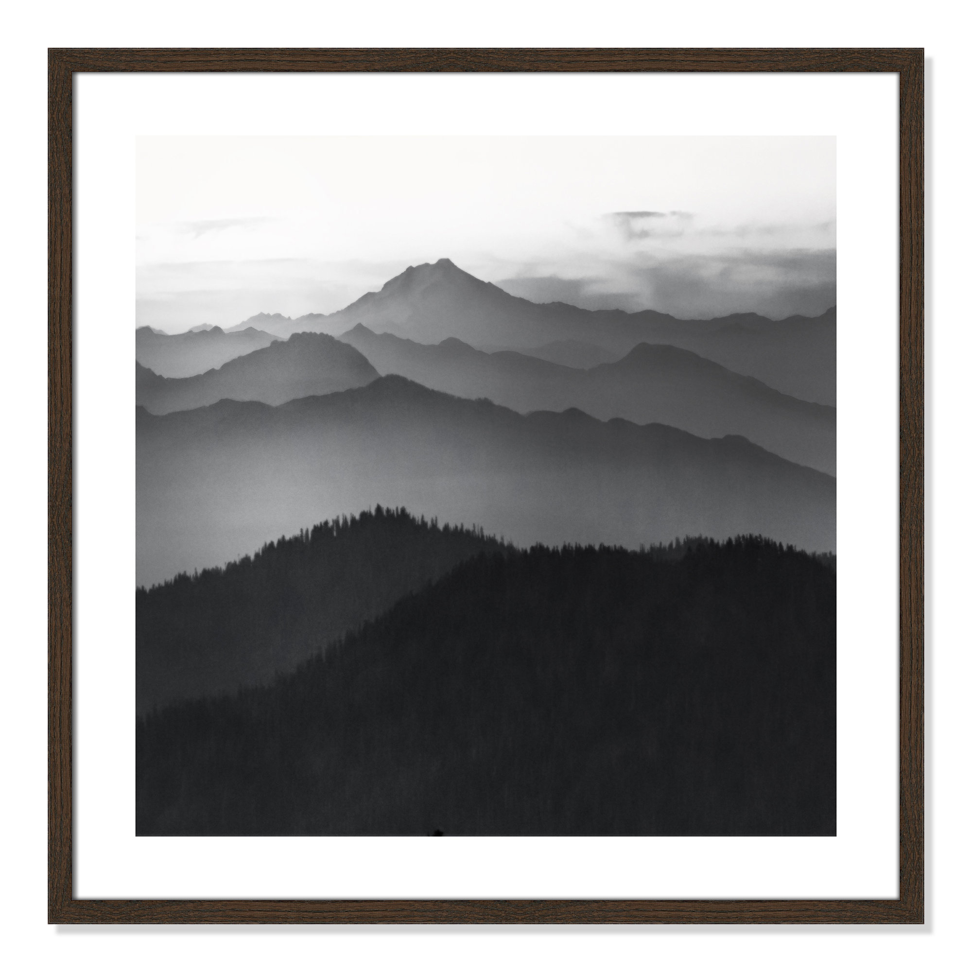 Cascades by Danita Delimont, 27.5" H x 27.5" W x 0.75" D, Walnut Framed