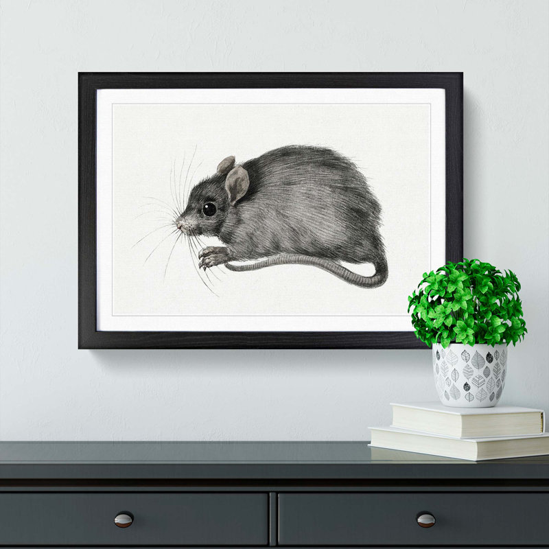 A Mouse by Jean Bernard - Single Picture Frame Painting, 45cm H x 63cm W x 2cm D, Black Framed