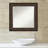 Balvin Mirror-884771172