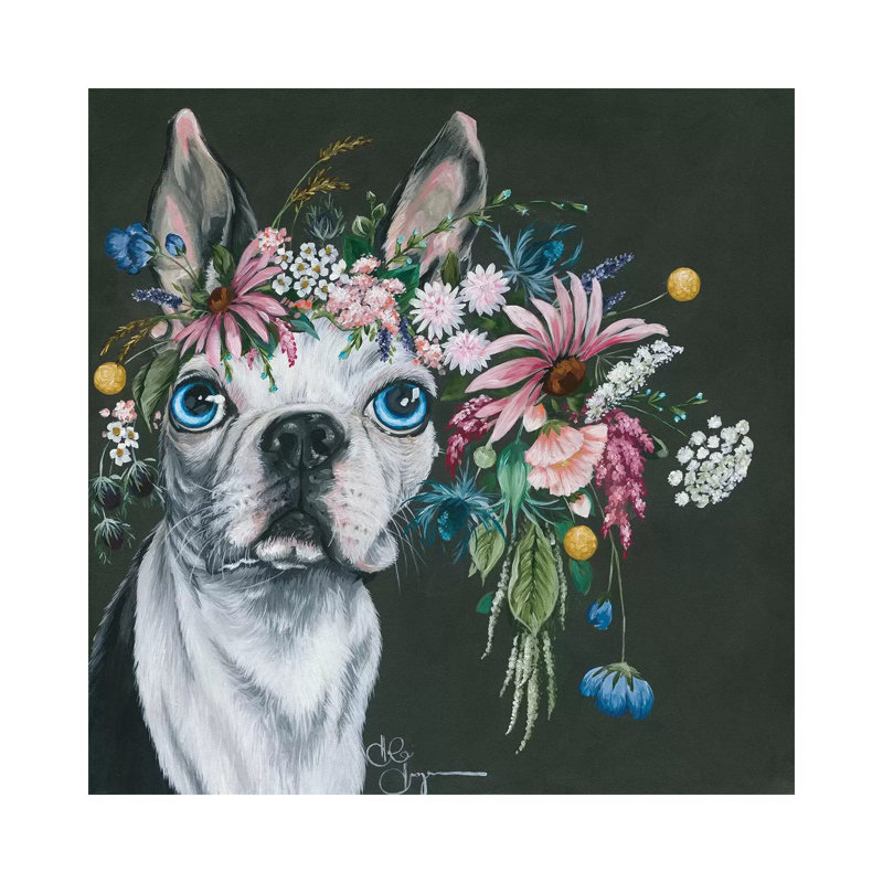 Boston Terrier - Wrapped Canvas Print, 30.48 cm H x 30.48 cm W
