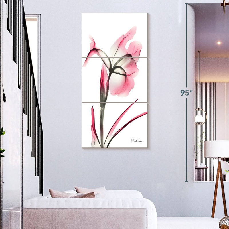 Iris rose infusé II