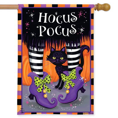 Drapeau de la maison Hocus Pocus 28x40