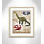 Adhésif décoratif dinosaures-03 '-47836220-47836233