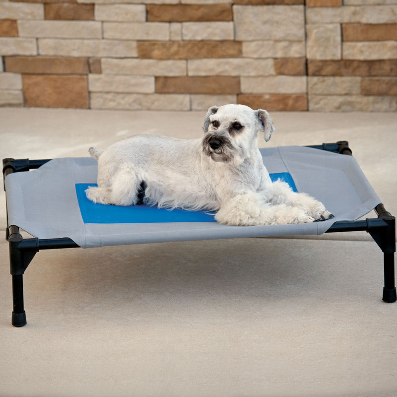 Lit de bébé Coolin 'Pet, Grand (l 42 po x P 30 po x H 7 po)