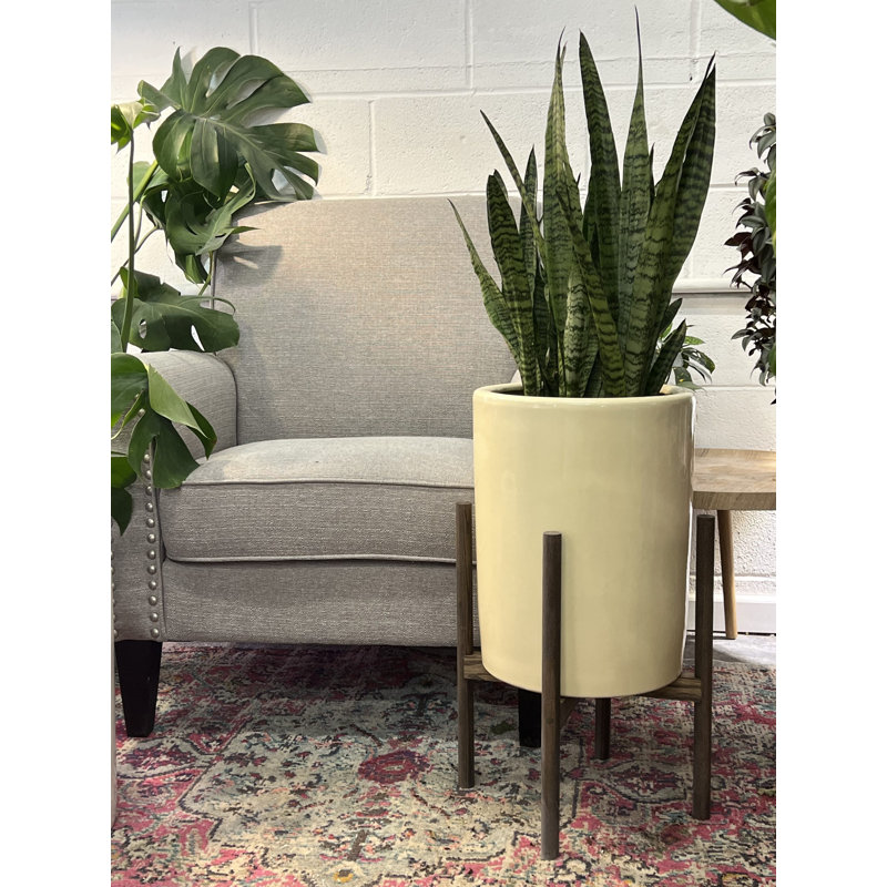  Ceramic/Wood Pot Planter, Crème / noyer foncé