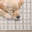 Tapis crème texturé neutre à carreaux bouclés Elijas-16580698