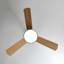 Ventilateur de plafond Janovia-16057270