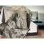 Lion en sépia - coussin imprimé animal-30028902-30028906