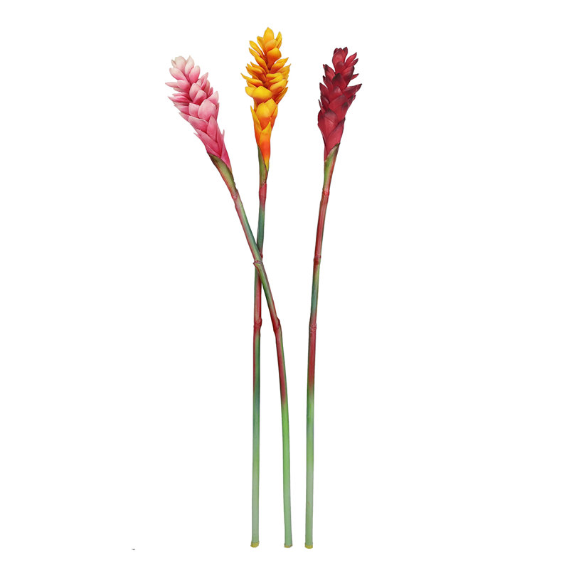 Tige de gingembre artificielle Real Touch, Rouge