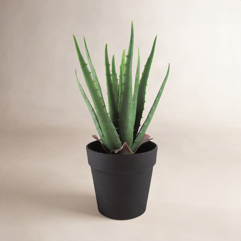 Plante grasse artificielle aloès en pot, H 13,5 po x l 9 po x P 9 po