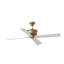 Downrod Ceiling Fan-611975813