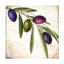 Art sur toile Sasha Olive Branch Iv-104104480