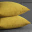  Housses de coussin Signature en velours - Housses de coussin décoratives-1496103409