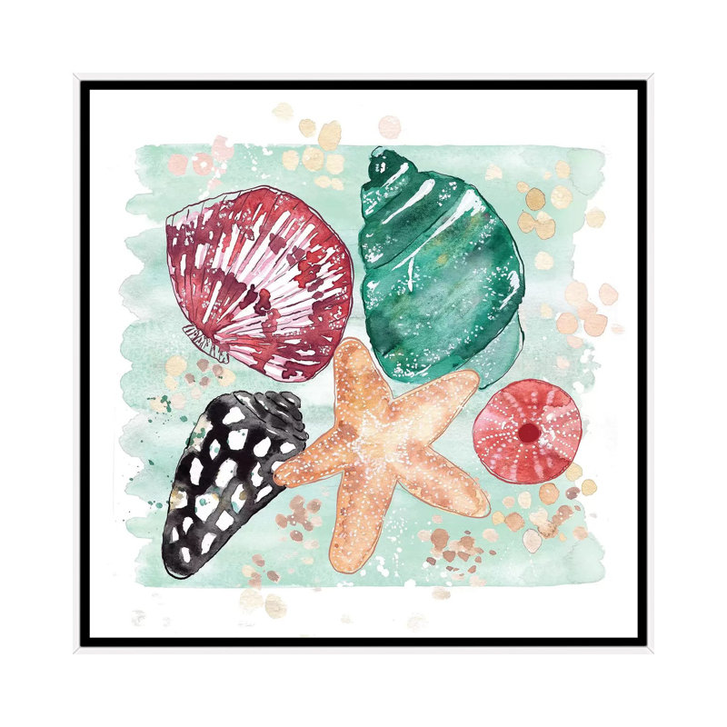 Beachcomber - Shell Medley by Sara Berrenson - Painting on Canvas, 66.04 cm H x 66.04 cm W, White Framed
