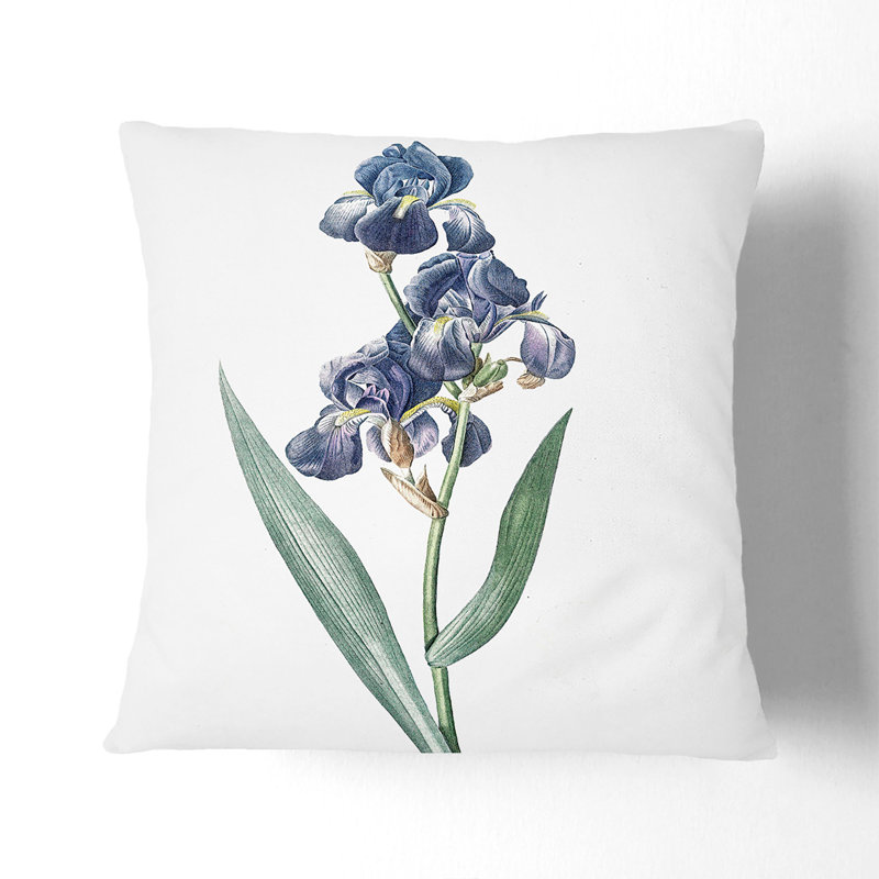 Dalmatian Iris Floral Square Throw Cushion, Stone, 55cm H x 55cm W x 20cm D