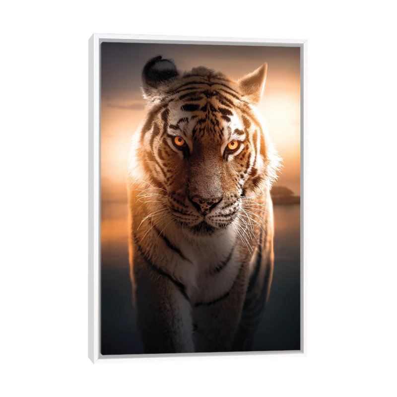 The Glowing Tiger by Zenja Gammer - Print on Canvas, 66.04 cm H x 45.72 cm W, White Framed