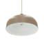 1 - Light Pendant