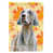 Angles Weimaraner