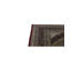 India Oriental Area Rug