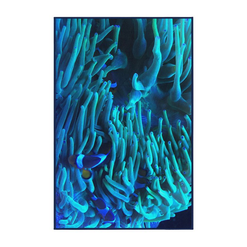 Indoor Rug, Rectangle 5' x 8'