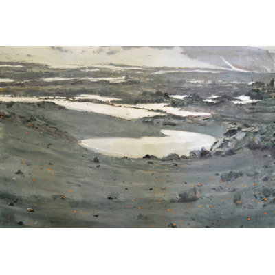 Stark Tundra Landscape Print by Other Artist