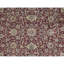 Sona Wool Oriental Area Rug