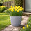 Taylur Pot Planter-112123027-112123025
