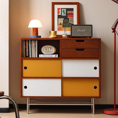 Vintage Sliding Door Color Blocked Display Case