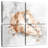 Aletra Blush Shell III