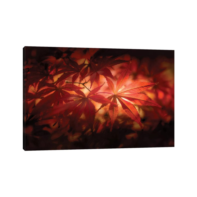 Red Light - Wrapped Canvas Print, 66.04 cm H x 45.72 cm W x 1.91 cm D