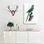 A Rose-Ringed Parakeet by F. Levaillant - Wrapped Canvas-55368045