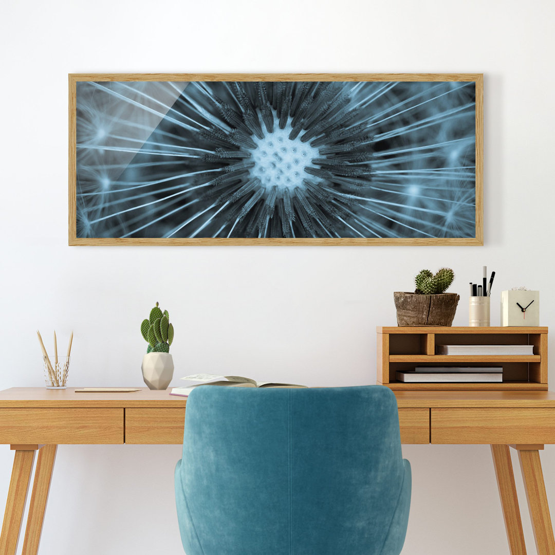 Gerahmtes Poster Blue Tinted Dandelion