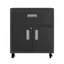Armoire de garage roulante gris anthracite-311903240