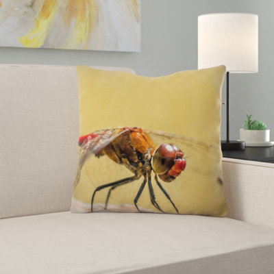 Coussin sympetrum vulgatum