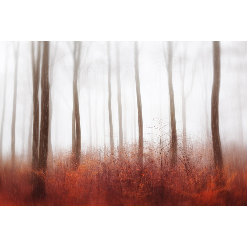 Wrapped Canvas Print, 50.8 cm H x 76.2 cm W