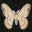 Flutter 6 Print by Todaro, Katie
