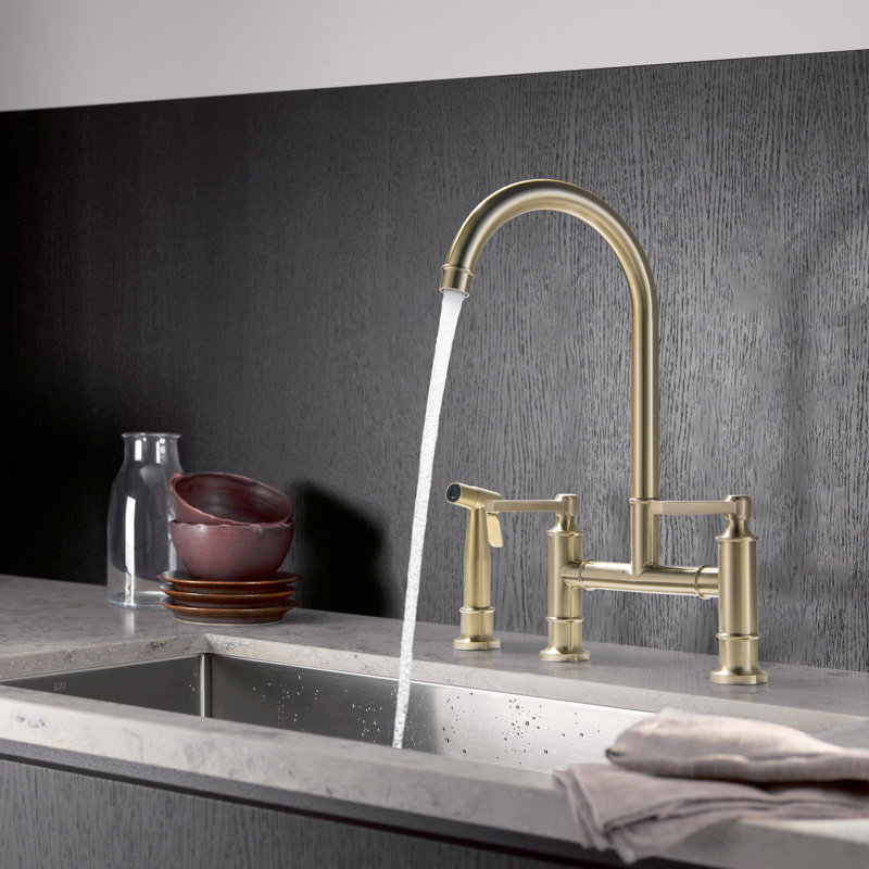 Homein Kitchen Faucet with Side Spray, Brushed Gold
