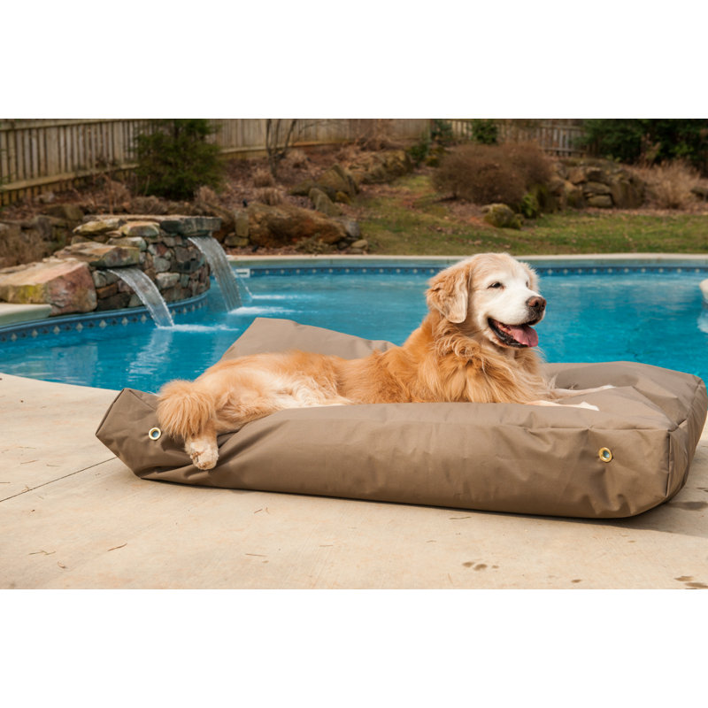 Lit pour chien intérieur / extérieur Snoozer, Grand (H 4 po x l 54 po x P 36 po), Noisette