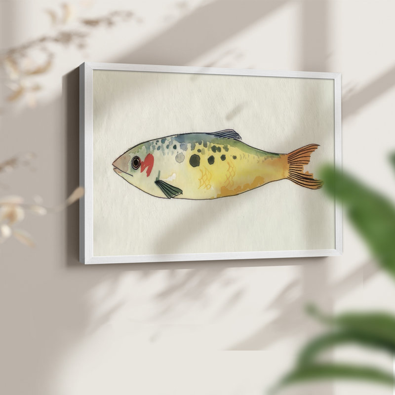 Fanciful Fish I -Framed Print - Restickable, H 22 po x l 28 po, Blanc